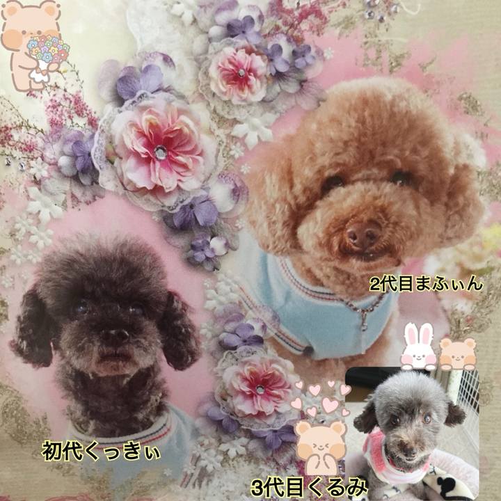 Cf4fc6d8 c5ee 4d3f a9bf 4df57bdb46c7 1762059488908