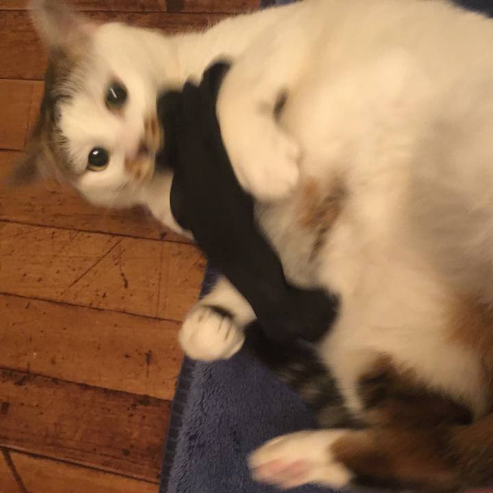 Cf4fc9c3 1894 431e 91ec bdfee320bfac 1614080130141