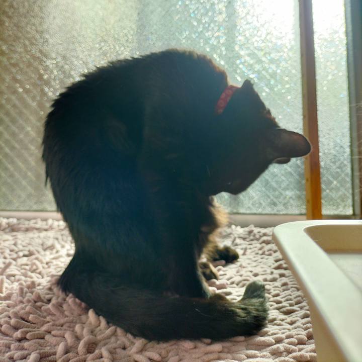 Cf4fd0bd 1a9b 4ea2 b495 083ceb7ec388 1679957875277