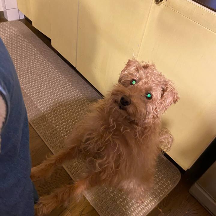 Cf500196 744e 45c5 b9fe ef84fb6ad2db 1699958775087