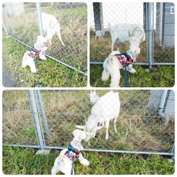 Cf507e2e 3ad7 4622 bb19 9b109d4e73ed 1515251727236