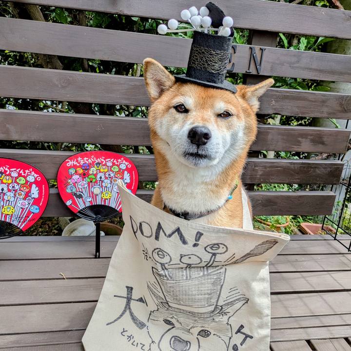 Cf51071c c9f9 41a4 aa33 1d62d142393a 1758181054259