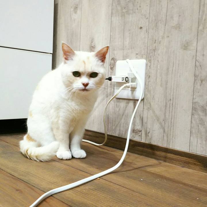 Cf513601 3f8d 45e4 acec 006c4e250bdc 1559831732097