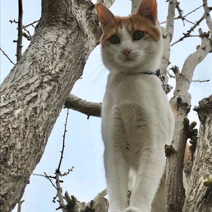 Cf513d45 f54f 4219 97a8 e4c15762a00c 1524030314165