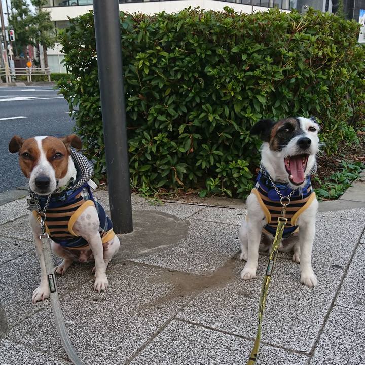 Cf51467b fc91 4feb 8467 a9354c4735b9 1569793911338