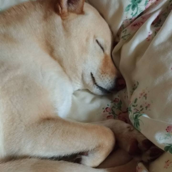 Cf515db5 496f 4897 be2a 876efa299f57 1553866214591