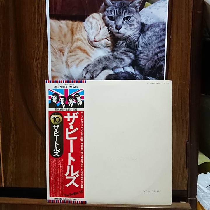 Cf51814e 1a4d 498e 9dc6 12654e30e3e5 1599388311782