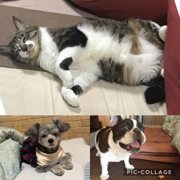 Cf518f30 b35e 4534 be5d 9f0ce352344f 1587896575639