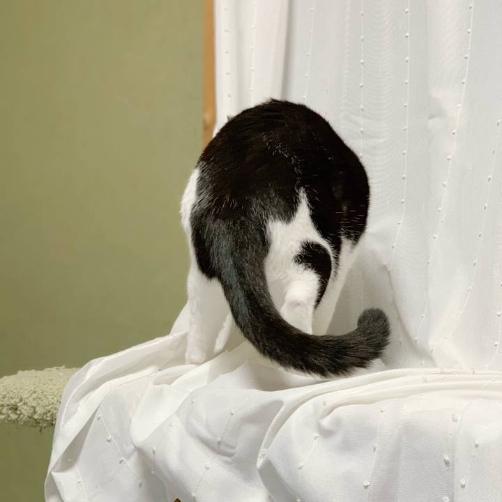 Cf51978c 5d6d 49e3 9501 c3beab6a372f 1540175176248