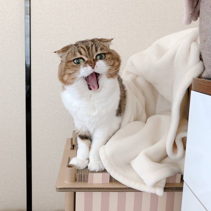 Cf520388 dae9 46ab b8bf 837d5cd63aae 1576375712256