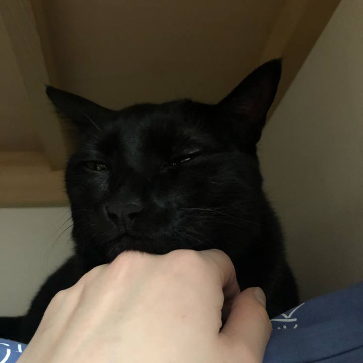 Cf5218b8 1d40 4bc8 8f54 3ca1d303ce85 1547852697221