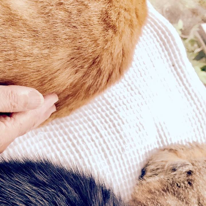 Cf525cc3 a236 41c8 8879 595f2b782d68 1559448246755