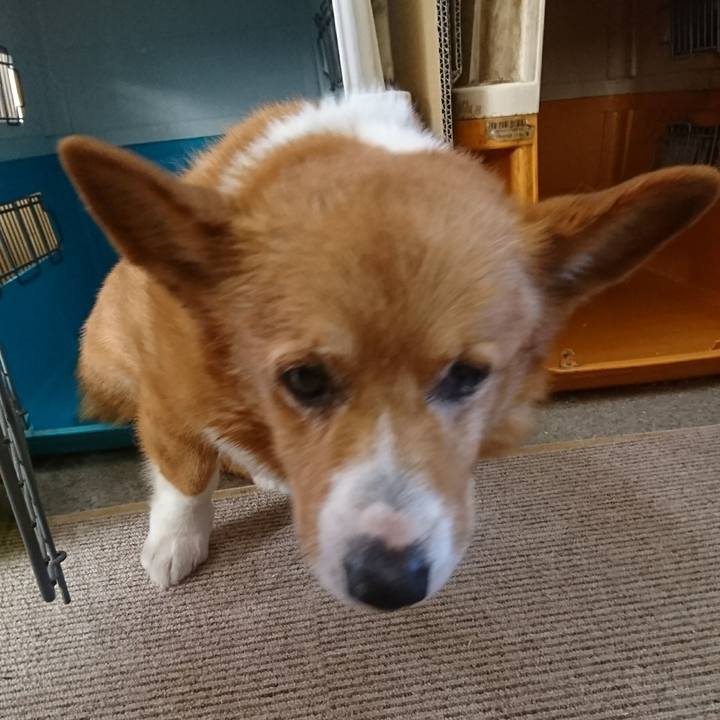 Cf526638 2c89 4940 8553 e3285c49983b 1515901652688