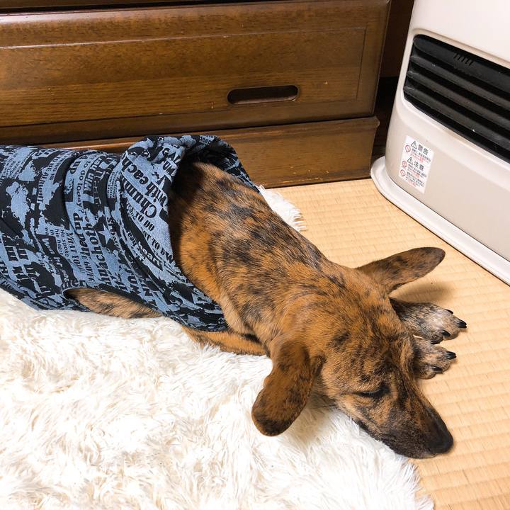 Cf528e87 cbd0 4232 831a 5a39a8fad488 1577363334286