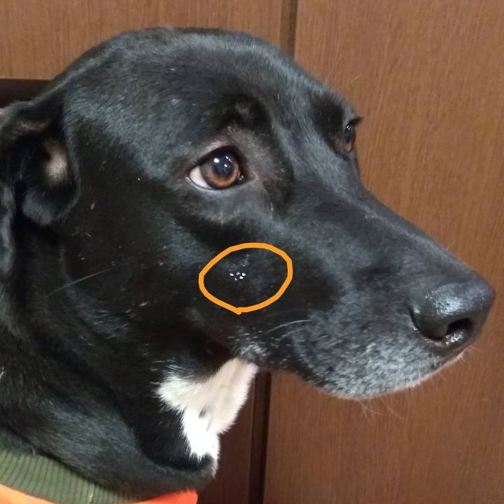 Cf52a20c ce5d 4d29 b428 1a7a6bbf20db 1609856033284