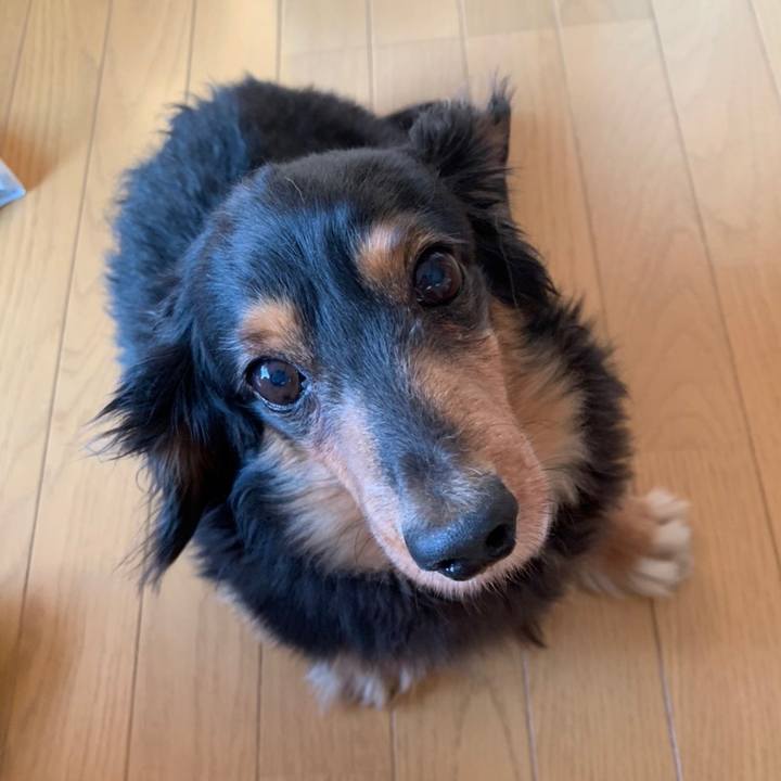 Cf52c912 46ee 4304 b3f1 2f47ad18dcc8 1632090365387