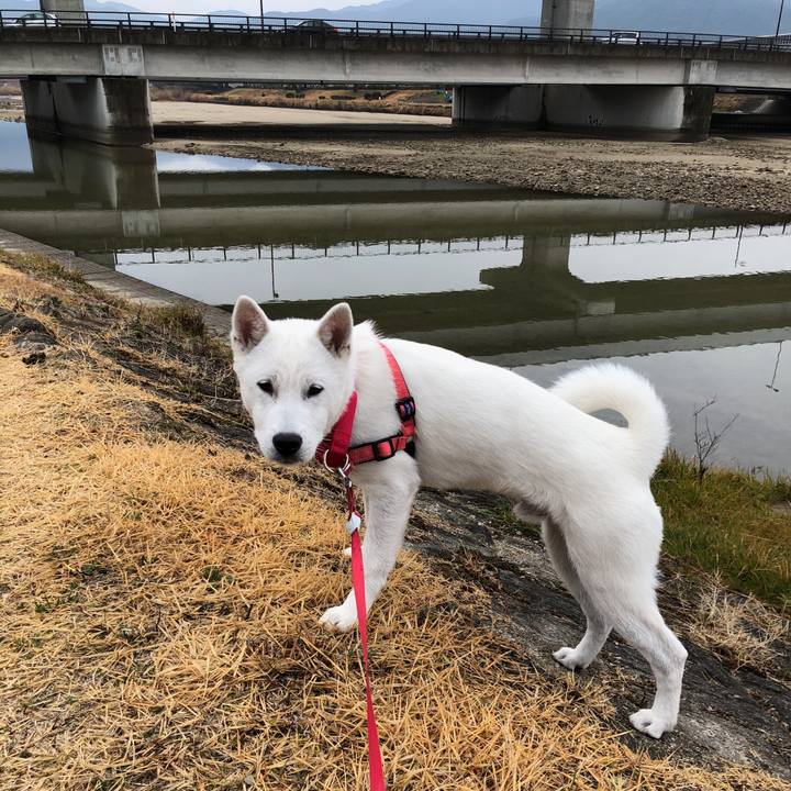 Cf52db9a 303f 4b0e 9940 a52c9a006d27 1518754265197