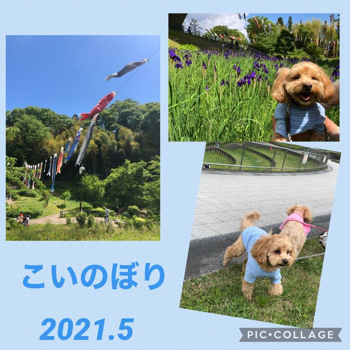 Cf52f05e 2e73 42d5 85ff b25c53e84819 1619943979119