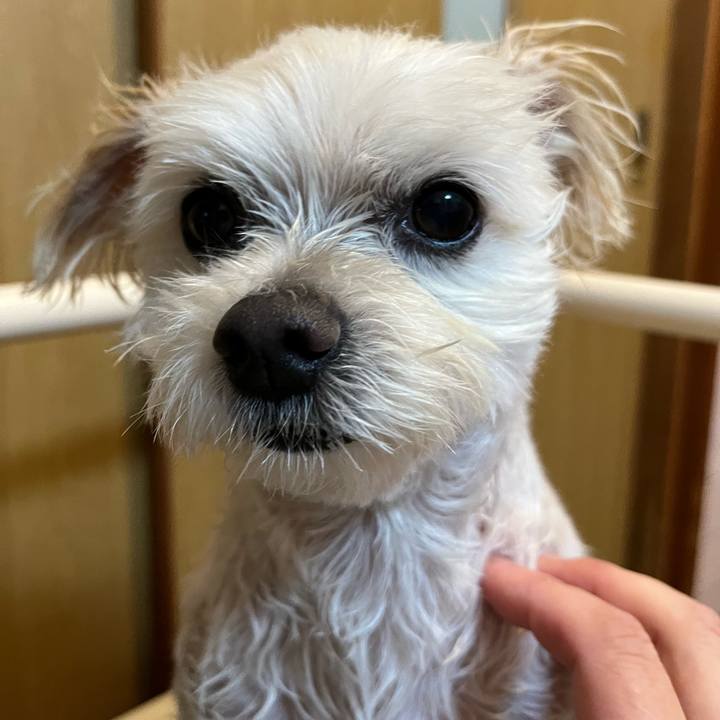 Cf52f809 ea28 4b89 80e4 b25abdd0ba49 1655357488823