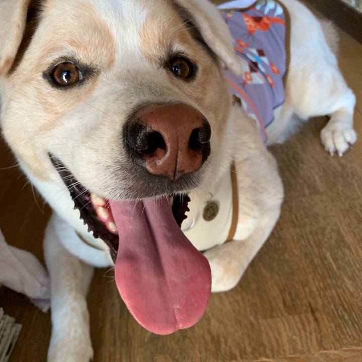 Cf52f97a d0e2 4321 86da 6f632717a4ca 1567299648461