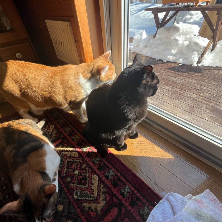 Cf52fc0d 2f6f 4cbf 90b4 0ec51791073b 1740366652256