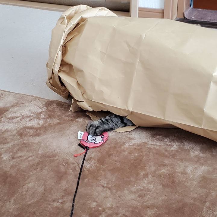 Cf530fe7 b73e 4e80 9ff7 262214c8c058 1709292871437