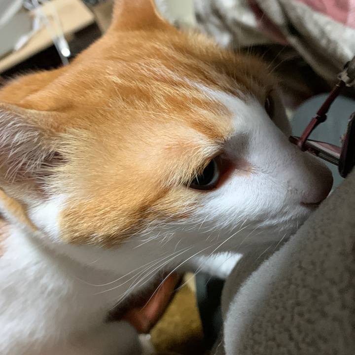 Cf532601 d272 4f1a bef9 cbd61f9508a0 1578562574051