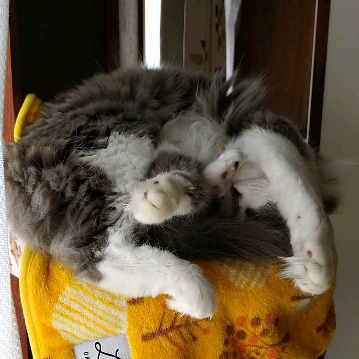 Cf537cb4 defb 40ae b044 f8b602760b36 1598168895213