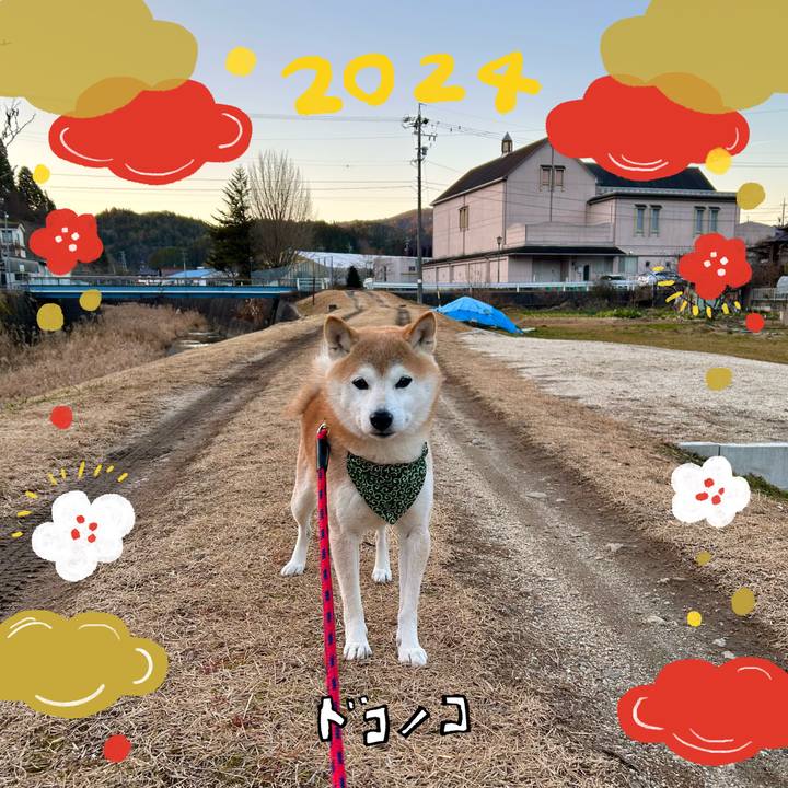 Cf538cec 1444 4fc5 a6d7 cdf2ade74087 1704107159910