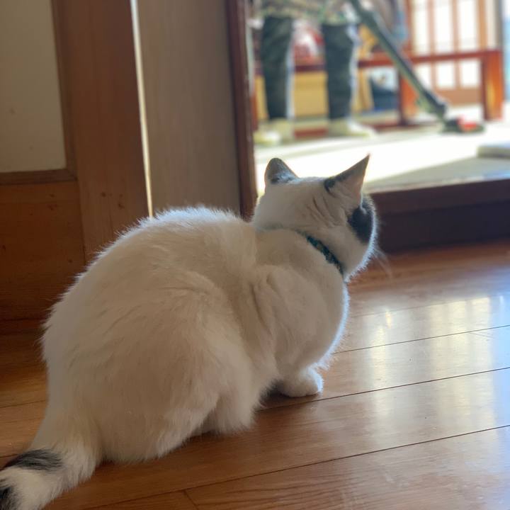 Cf539d93 0432 499a bf9b 70db596a42dd 1667348662656