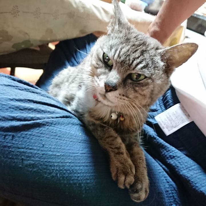 Cf53a6e8 c1ac 45d4 949b d5725df2f436 1593686626094