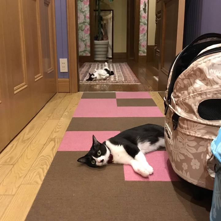 Cf53b42c 472d 4428 8470 3d325312f45f 1549204347440