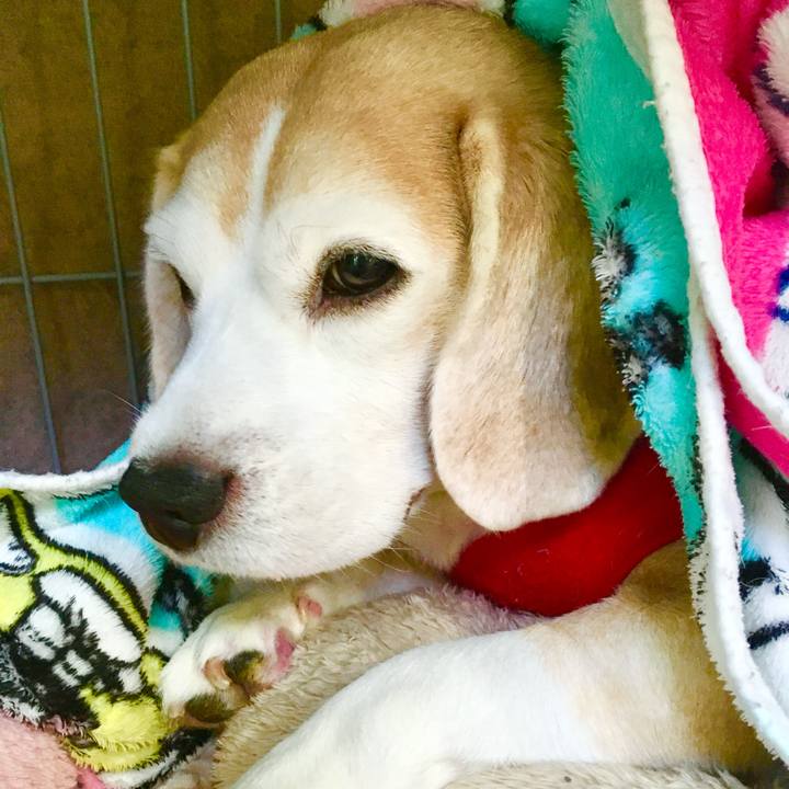 Cf53bc97 5632 4314 a6c5 1621e6fd1259 1767584619321