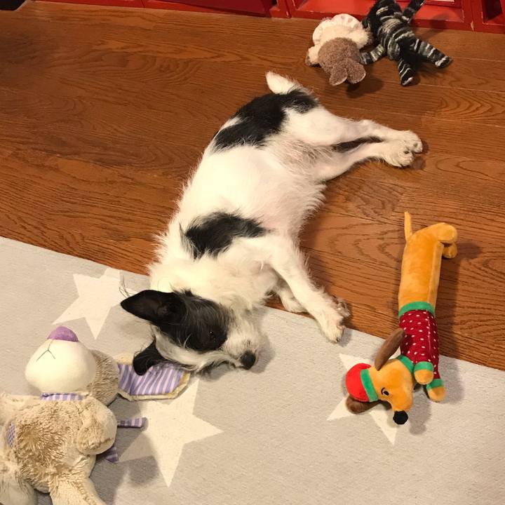 Cf53e03b 01fc 4b23 a649 6e807b53dc0b 1550670423644