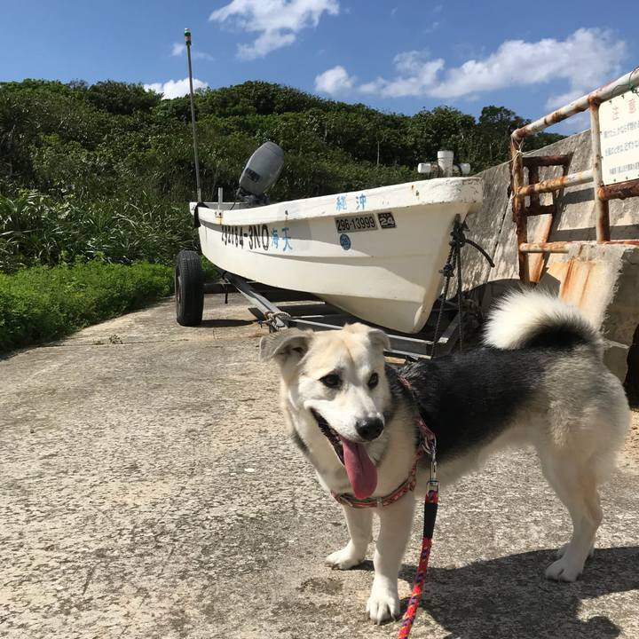 Cf540578 f3bb 43d3 a1c4 dfe8d36b3064 1520659312121