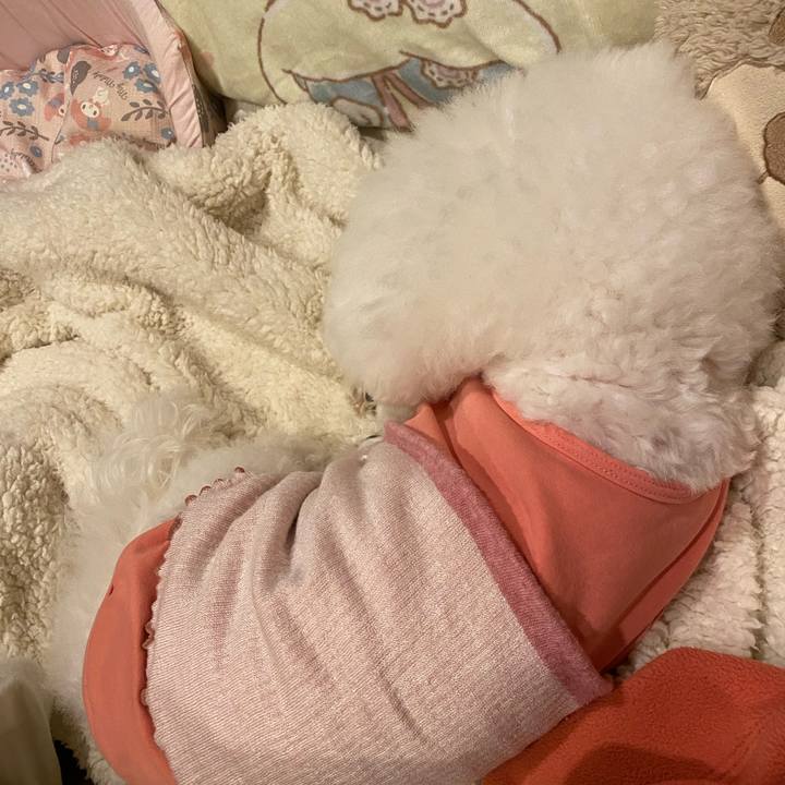 Cf54ab36 339d 463a 875f 2bae28459e11 1732799944290