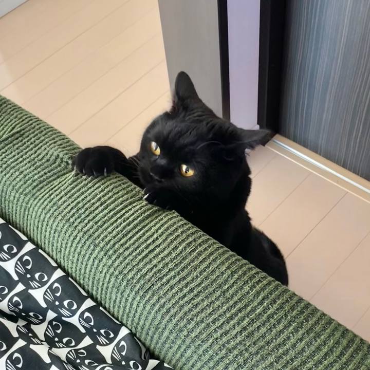 Cf54dd84 5662 42d7 8b2a 1fd5ccd8cfcf 1632094779191