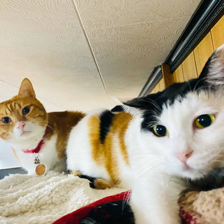 Cf550e5e 6f68 4758 b863 8add025e1310 1701561330615