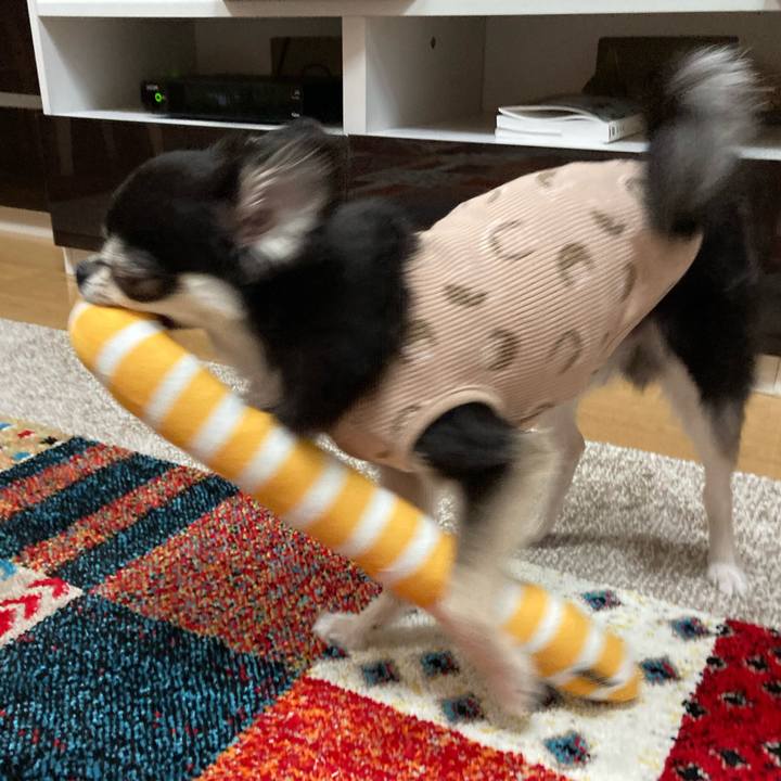 Cf5550d7 c5d4 4cf3 9fad 74585795793e 1683474336666