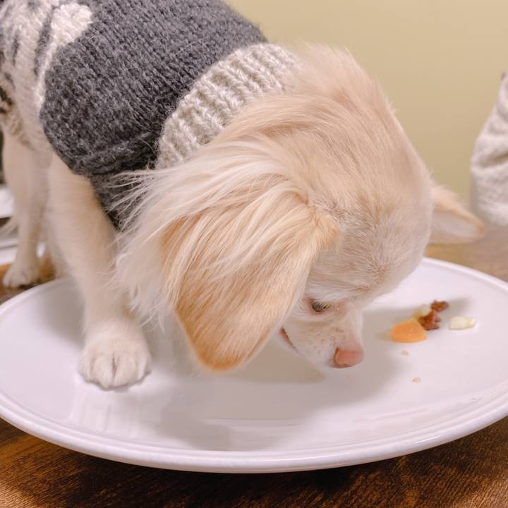 Cf555c9d 1a8c 4e3a 8239 7bbfaba47613 1643620457990