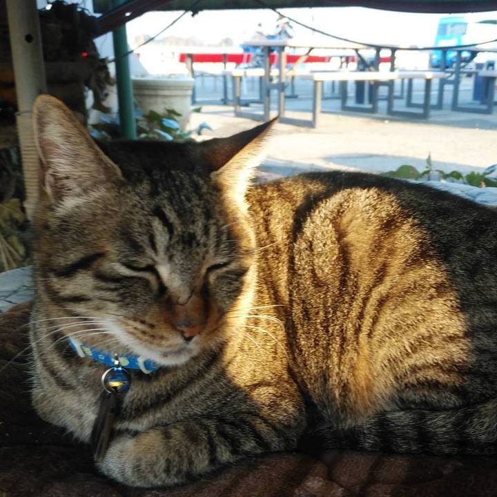 Cf5560cd bab0 4c56 bfe1 2ef54950bb60 1579868081199