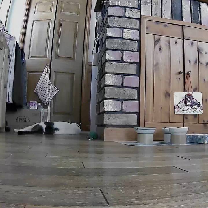 Cf557b72 4967 414f 99ac 163f4260a305 1598532108115