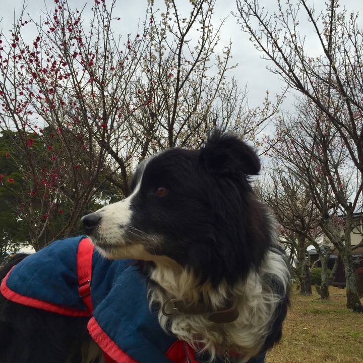 Cf558273 45ad 4b2f b22c d7666101d4fe 1550188738446