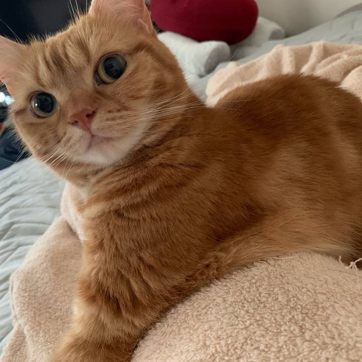 Cf5584be e127 476d 8898 fcfd88787623 1626575766409