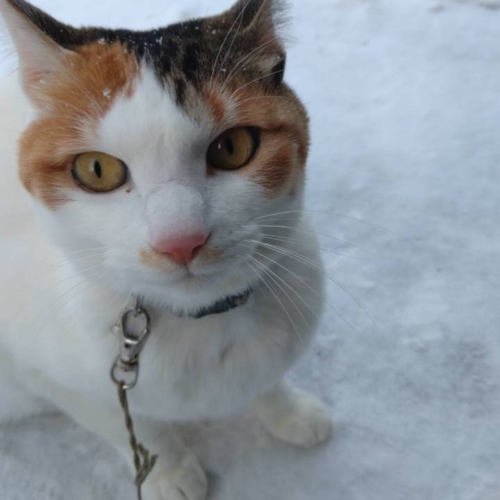 Cf558e0a be66 4662 add3 68d22beaf901 1770017230819