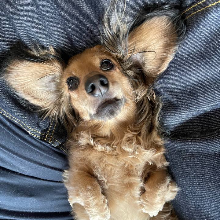 Cf55d56d ab64 4811 a820 b23652be6240 1750747612075