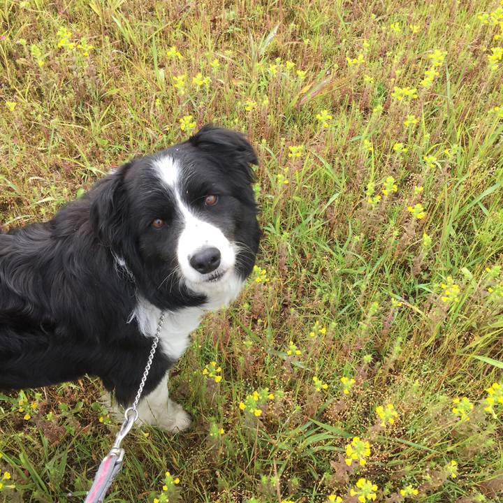 Cf561ef0 7009 4ebd be7d 43e199a1fc35 1557360929968