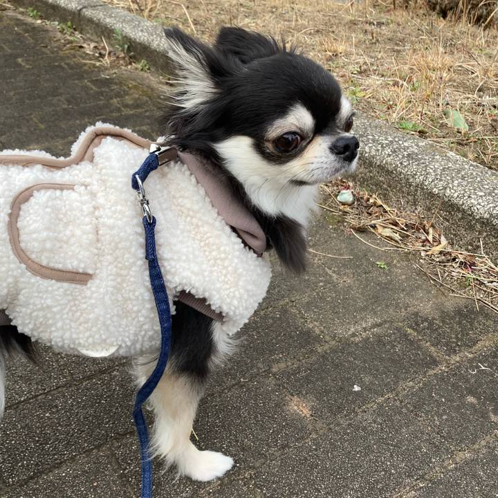 Cf562838 d48a 49ac 9b25 e0908b476b66 1677983788508