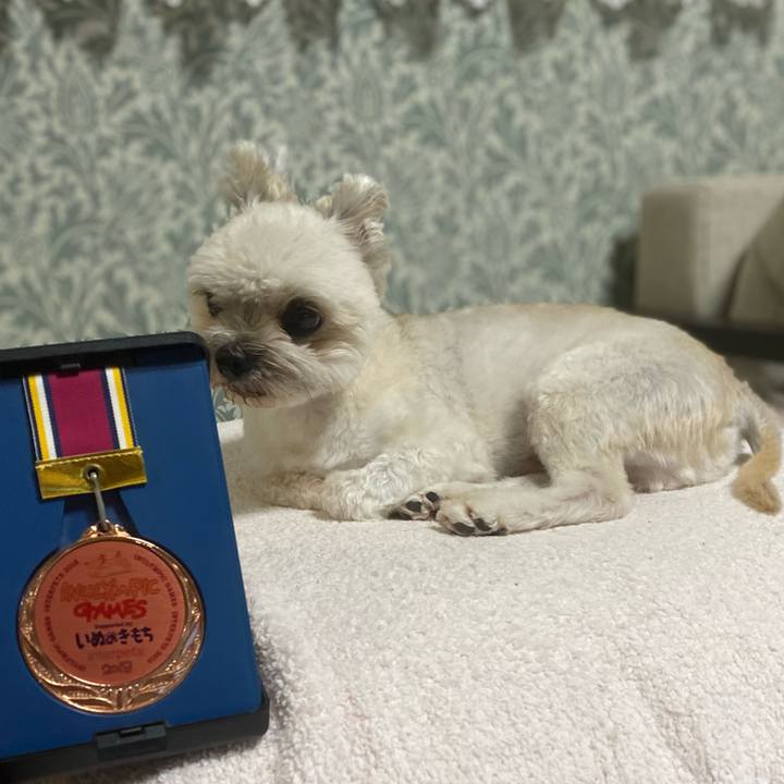 Cf5659dc b3b7 450f 8a1e 4ae65bf41e30 1722076521508