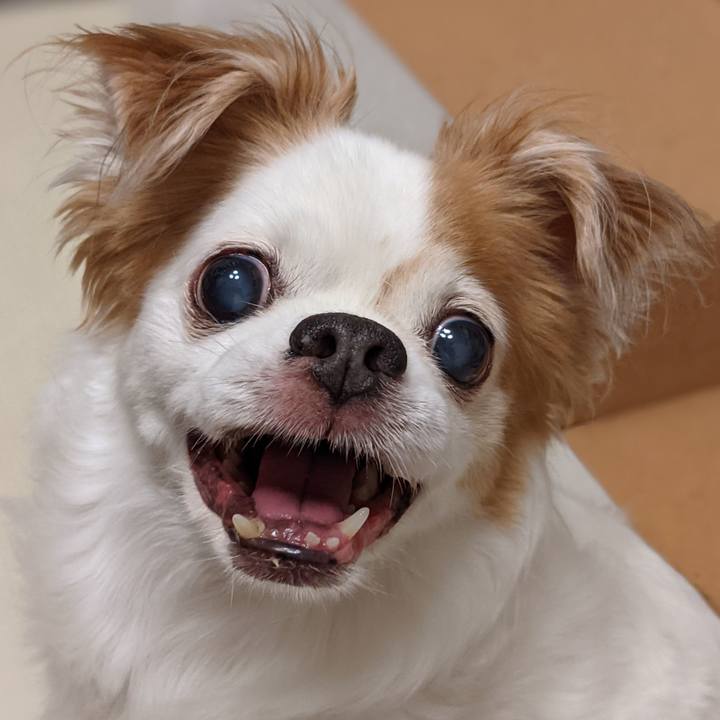 Cf568e22 2d95 402c a719 f824a2d22ba5 1626825753292